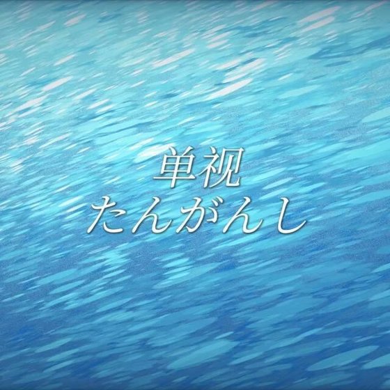 单视