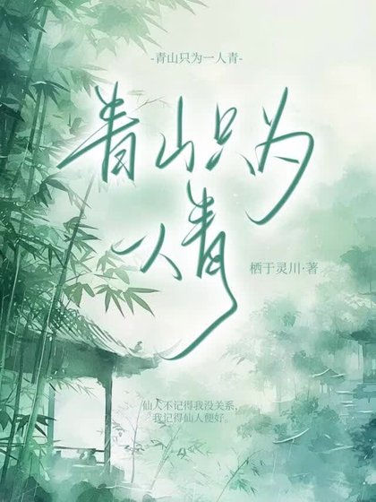 青山只为一人青