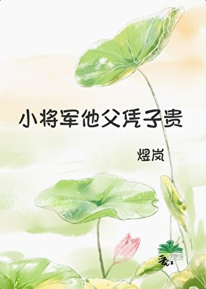 小将军他父凭子贵