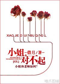 小姐,对不起GL