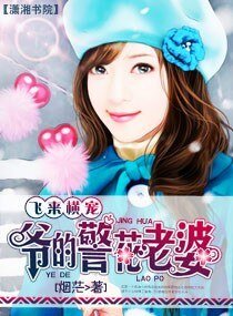 《飞来横宠:爷的警花老婆》